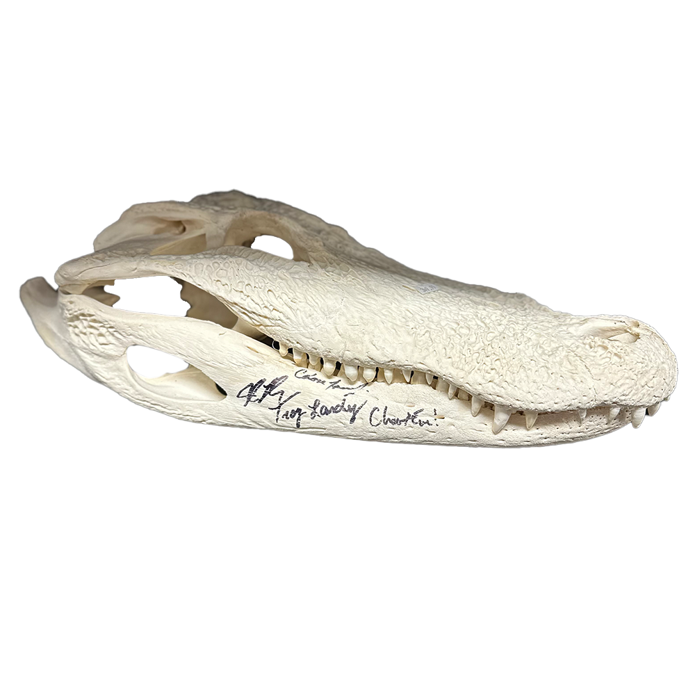 Signed Skull