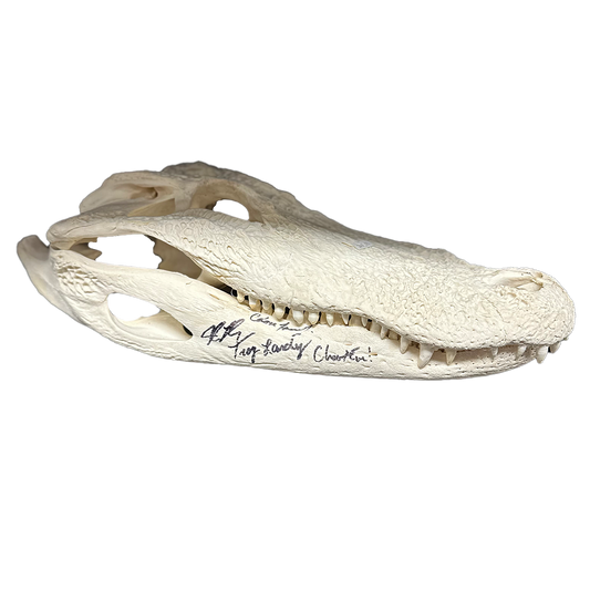 Signed Skull