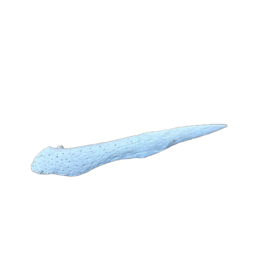 Jawbone Knife